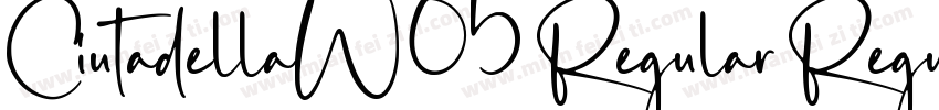 CiutadellaW05 Regular Regular字体转换
